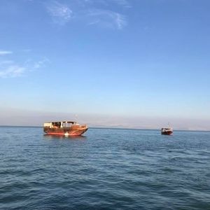 Meet your Posher, Brad n